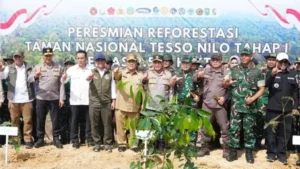 Taman Nasional Tesso Nilo Dihijaukan Kembali: Program Reforestasi Masuk Tahap Pelaksanaan